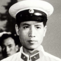 观赏口味